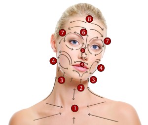 Face Brush HowTo with Arrows and Numbers